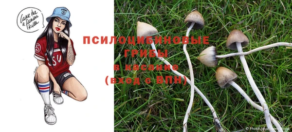 гашик Алексеевка