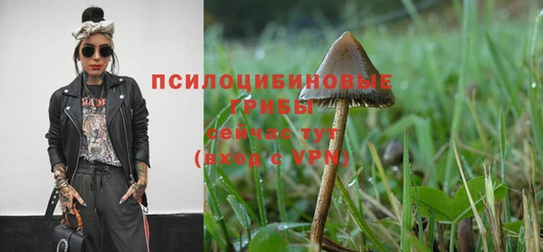 apvp Алексин