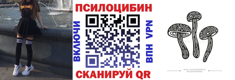 дарнет шоп  Ивангород  блэк спрут как войти  Псилоцибиновые грибы Cubensis 